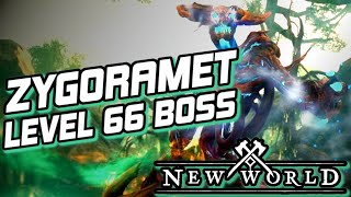 LEVEL 66 BOSS  ZYGORAMET  NEW WORLD [upl. by Hinch]