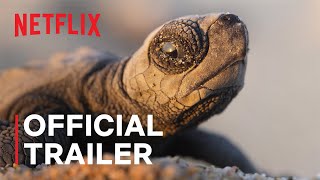 OUR PLANET II  Official Trailer  Netflix [upl. by Cati]