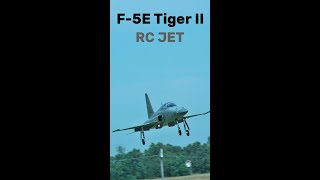 Northrop F5E Tiger II  giant scale jet turbine RC model jet rcjet aviationcz [upl. by Orest487]