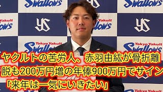 ヤクルトの苦労人、赤羽由紘が骨折離脱も200万円増の年俸900万円でサインJapan news「来年は一気にいきたい」 [upl. by Pizor522]