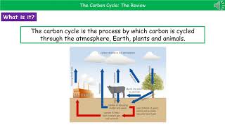 OCR Gateway A B417  The Carbon Cycle [upl. by Haliek]