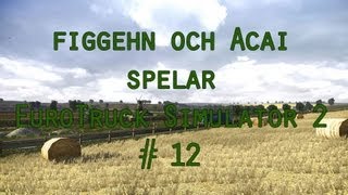 DualDGaming Extra  Euro Truck Simulator 2 på Svenska 12 med figgehn amp Acai [upl. by Liahkim]