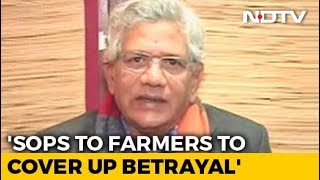 Budget 2019 Sitaram Yechury Calls Interim Budget An quotElectoral Jumlaquot [upl. by Thgiwd390]