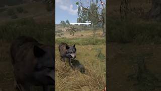 Happy Puppy to Pack Attack Rust Wolves are No Joke [upl. by Hamirak]