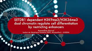 SETDB1 dependent H3K9me3H3K36me3 dual chromatin reg cell differentiation by restricting enhancers [upl. by Anerak]