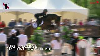 Luigi dEclipse  Stallion Show [upl. by Jarrow]