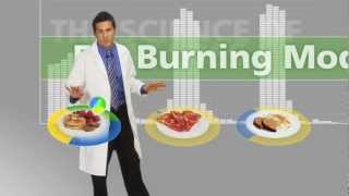 The Food Lovers Fat Loss System  Explained [upl. by Haidej]