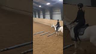 Prov på finaste bästa Benny❤️🐴💋💓🎀🫶🥰 [upl. by Kyd]