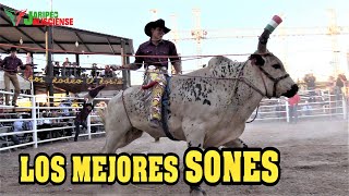 LOS MEJORES SONES EN EL JARIPEO ¡RECOPILACION [upl. by Blatman629]