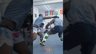 UFC LEVEL MMA SPARRING FTTRESEAN GORE boxing fightcamp kickboxing mma muaythai bjj sparring [upl. by Waylen]