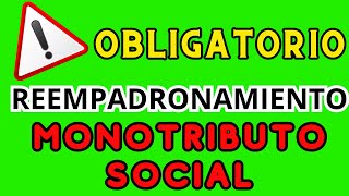 Reempadronamiento Obligatorio en Monotributo Social Todo lo Que Debes Saberquot anses noticiasanses [upl. by Barbee40]