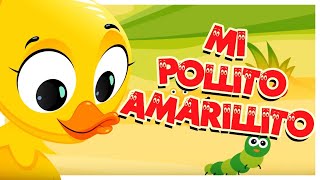 MI POLLITO AMARILLITO Edgar Carrera Octubre 22 2024 quot Suscríbase amp Like quot [upl. by Angelo585]