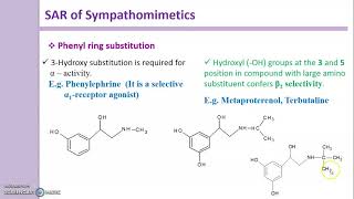 SAR of Sympathomimetics  SAR of Adrenergic agents [upl. by Nikolos]