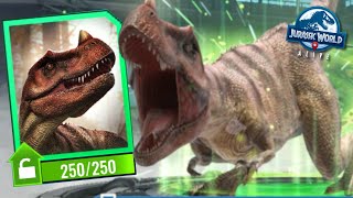 NEW CERATOSAURUS UNIQUE UNLOCKED  Jurassic World Alive [upl. by Assira]