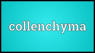 Collenchyma Meaning [upl. by Tallou403]