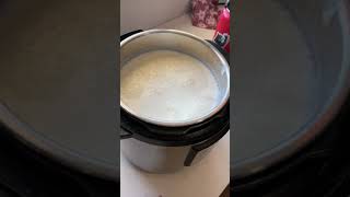 Instant pot yogurt without yogurt button [upl. by Drews]