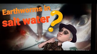 Do Saltwater Fish Like Earthworms  Low budget Backup Bait [upl. by River]