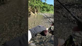 Stream Fishing streamfishing lure lurefishing fishingvideo gofishing cauca fishingtechniques [upl. by Ginder401]