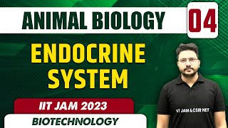 Endocrine System l Animal Biology 04 l Biotechnology l IIT JAM 2023 [upl. by Mussman804]