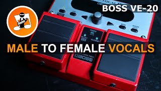 VE20 Change Male Voice to Female Voice [upl. by Sonahpets]