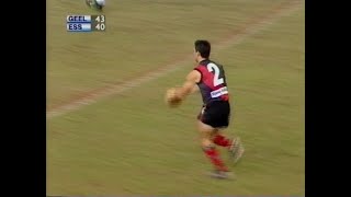 Essendon Highlights  Rd 11 2000 v Geelong [upl. by Guibert]