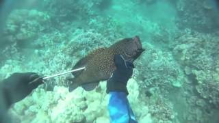 MAUI SPEARFISHING quotREEF RAIDquot [upl. by Fenn]