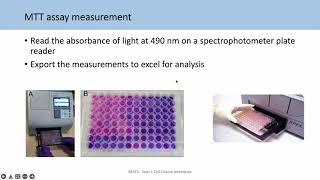 BE553 Topic 2 Tutorial 2 Analysing viability assays and IC50s [upl. by Tloh]