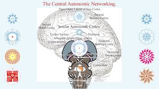 THE SYMPATHETIC NERVOUS SYSTEM  An Integrated Approach [upl. by Alym]