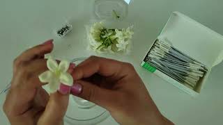 How to add stems to fresh Stephanotis blooms for bouquets [upl. by Bortz788]