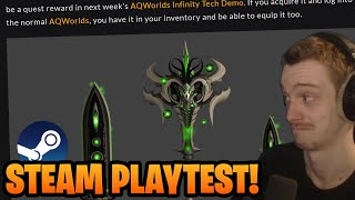 AQW Infinity Steam Playtest Rare Playtest Reward [upl. by Orvie]