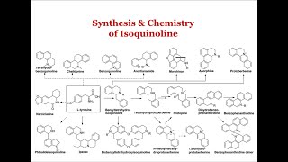 Synthesis amp Chemistry of Isoquinoline [upl. by Imoyn]