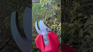 Milwaukee M12 Shears Initial Test [upl. by Caralie317]