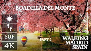 Boadilla del Monte en primavera 🏠 tour andando 4K parte 2  Pueblos bonitos de Madrid  España [upl. by Ahsinot]