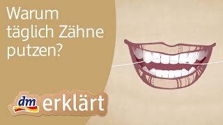 dm erklärt Warum täglich Zähne putzen [upl. by Shira]