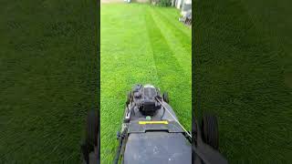 hayter 56 pro lawncare November still cutting grass [upl. by Lunt768]