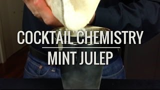 Basic Cocktails  How To Make A Mint Julep [upl. by Ellenaj251]