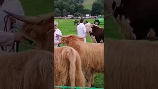 Wolsingham Show [upl. by Jereme]