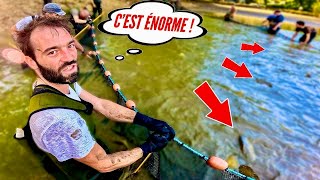 Cet étang se vide après 45 ans et les gros poissons font surface  On les pêche pour les sauver [upl. by Valerlan]