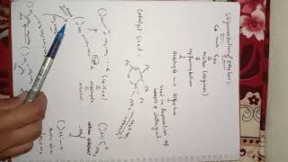 Oligomerization Reaction [upl. by Innavoeg]