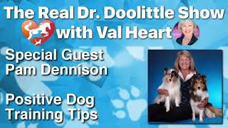 Positive Dog Training Tips  Pam Dennison on The Real Dr Doolittle Show™  Animal Talk 62 [upl. by Nonarb]