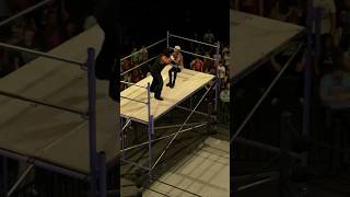 WWE 2K24 chokeslam off scaffold on to the ring apron wwe wrestling wwe2k24 [upl. by Norris]