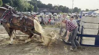 Bear Lake Days Horsepower Horse Pulls 2024 [upl. by Ashwell169]