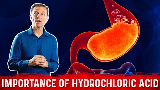 The Importance of Hydrochloric acid HCL in the Stomach – Dr Berg [upl. by Akaenahs56]