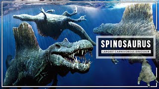 Spinosaurus  The Largest Predator Of The Cretaceous Period  Dinosaur Documentary [upl. by Oinotnanauj]