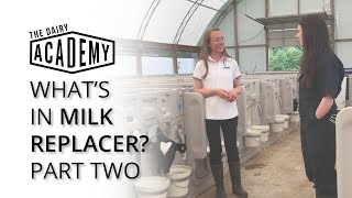 Whats in milk replacer Part 2  Calf digestion [upl. by Mur]