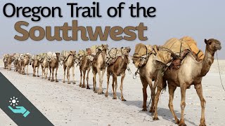 The Oregon Trail of the Southwest  US Camel Corps [upl. by Eon]