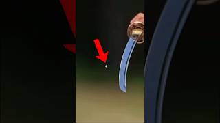 Katana Vs Bullet in Hindi MrBeast Karangaming007b2v [upl. by Eirrahs]