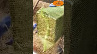 ASTV Fantastic Inventions for Your Garden [upl. by Vookles]