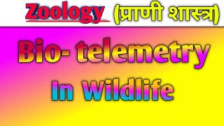 biotelemetry in Wildlife हिंदी नोट्स के साथ Zoology question biology [upl. by Aeirdna]