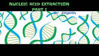 Nucleic Acid Extraction Part I [upl. by Annovaj349]